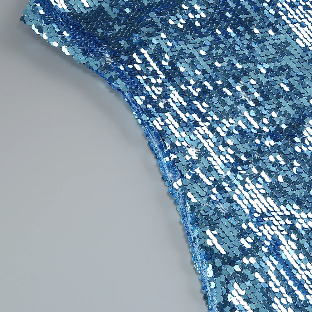 Fitted Sequin Dress
