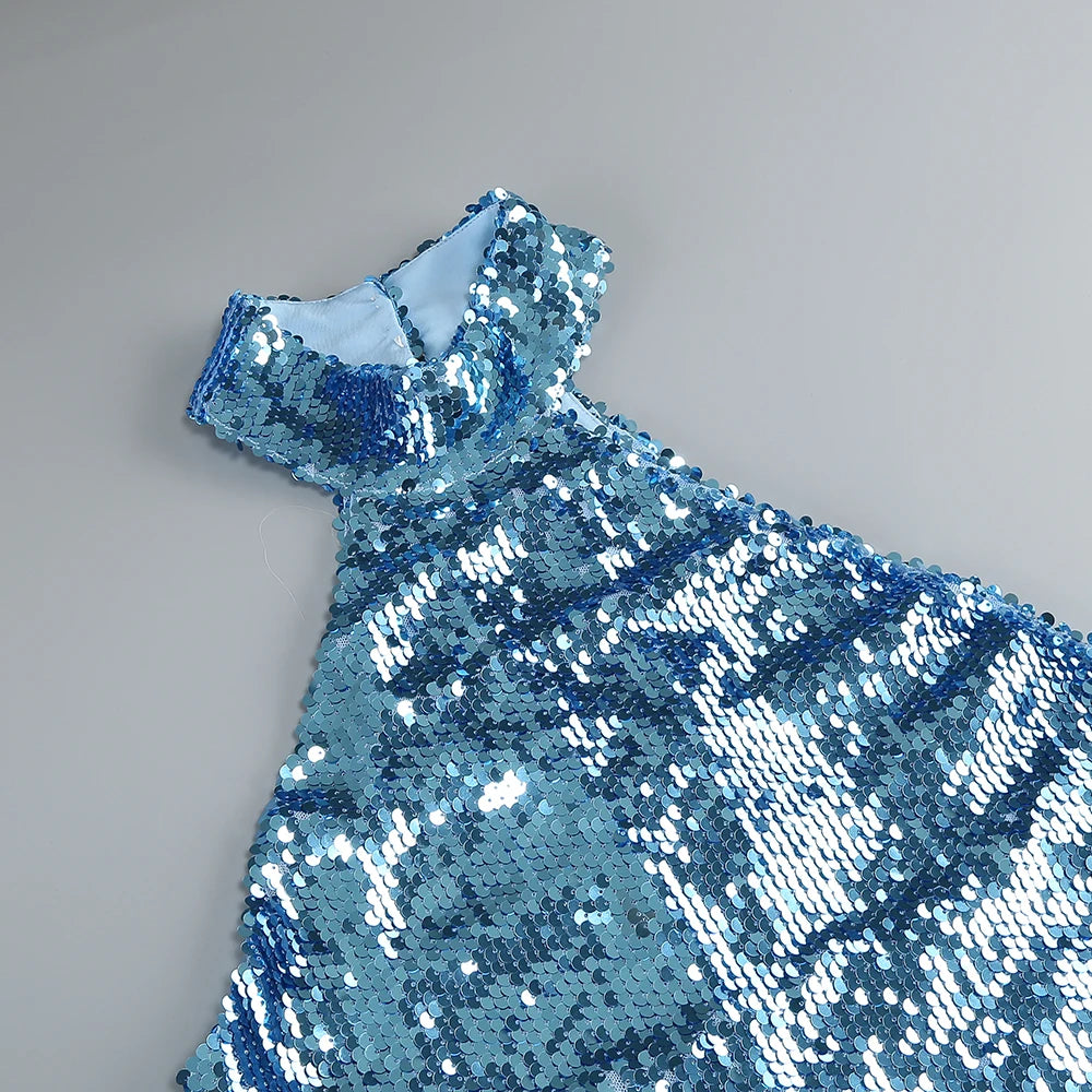 Fitted Sequin Dress