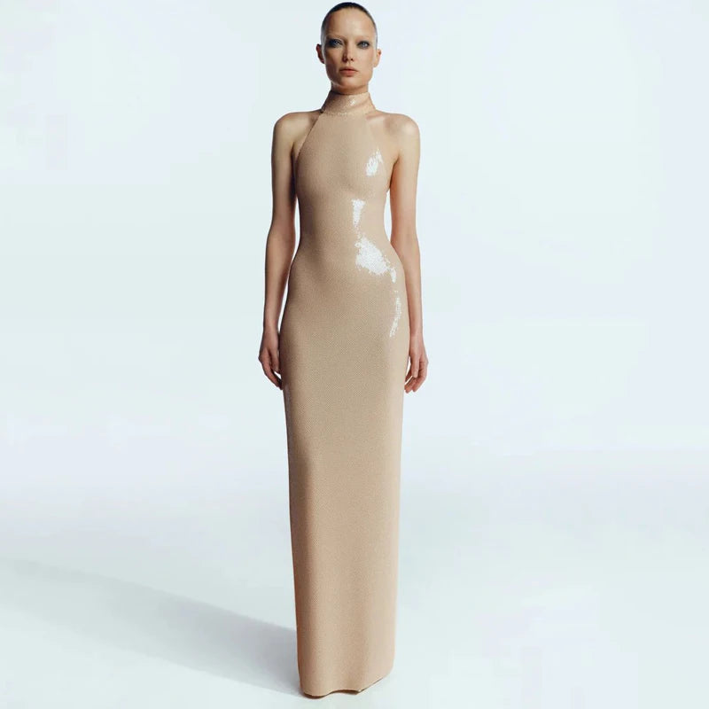 Fitted Sequin Dress