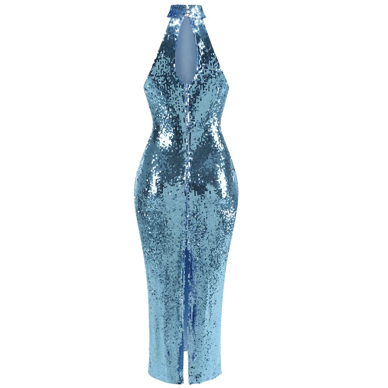 Fitted Sequin Dress